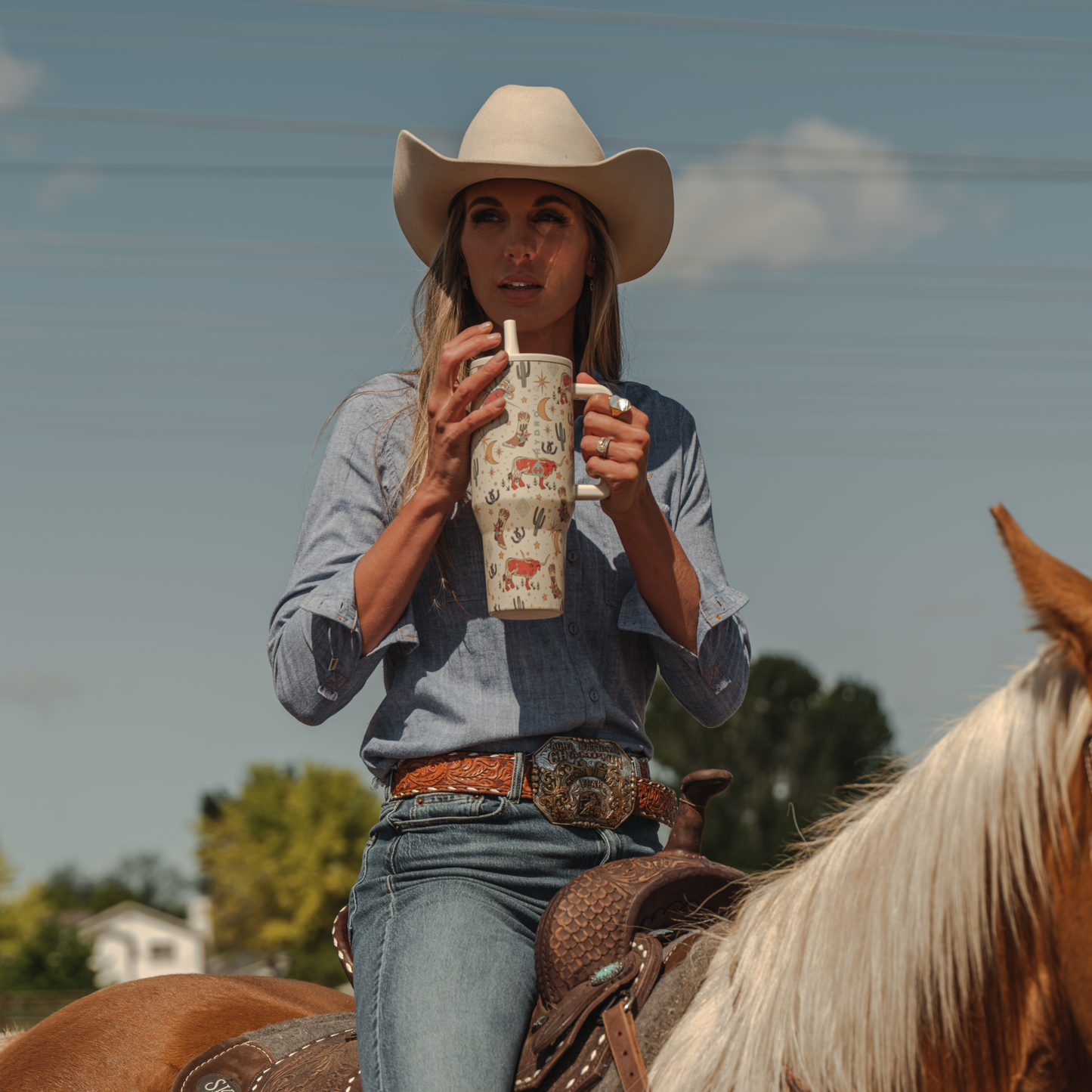 rodeo-t9 TRVL-Rodeo-6WPI.png