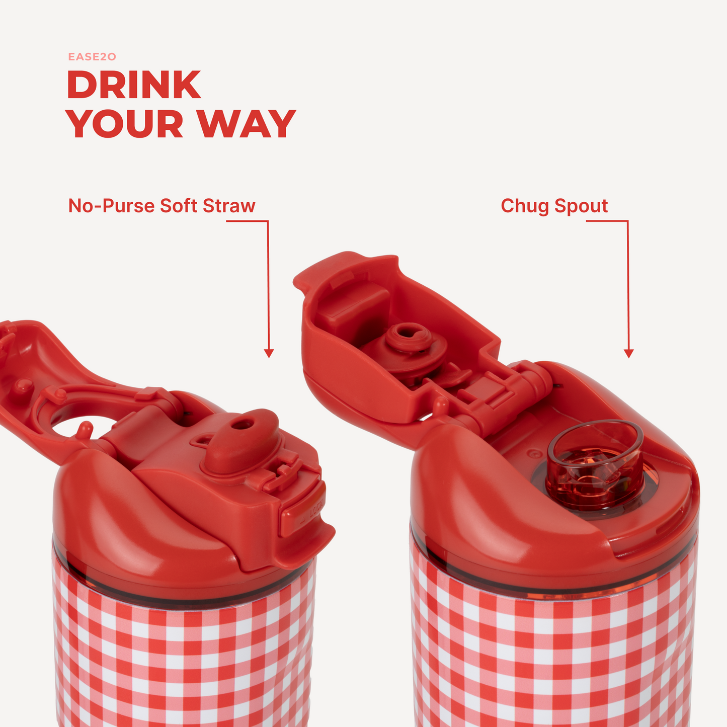 summer-picnic-c9 Ease14-SummerPicnic-3WPI.png