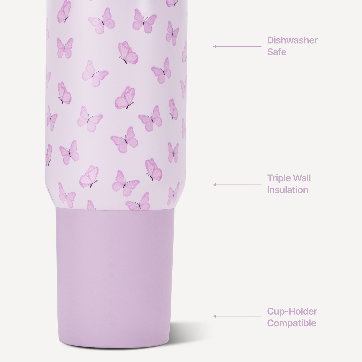 flutter-b3 Sport20-Flutter-3-WPI.png