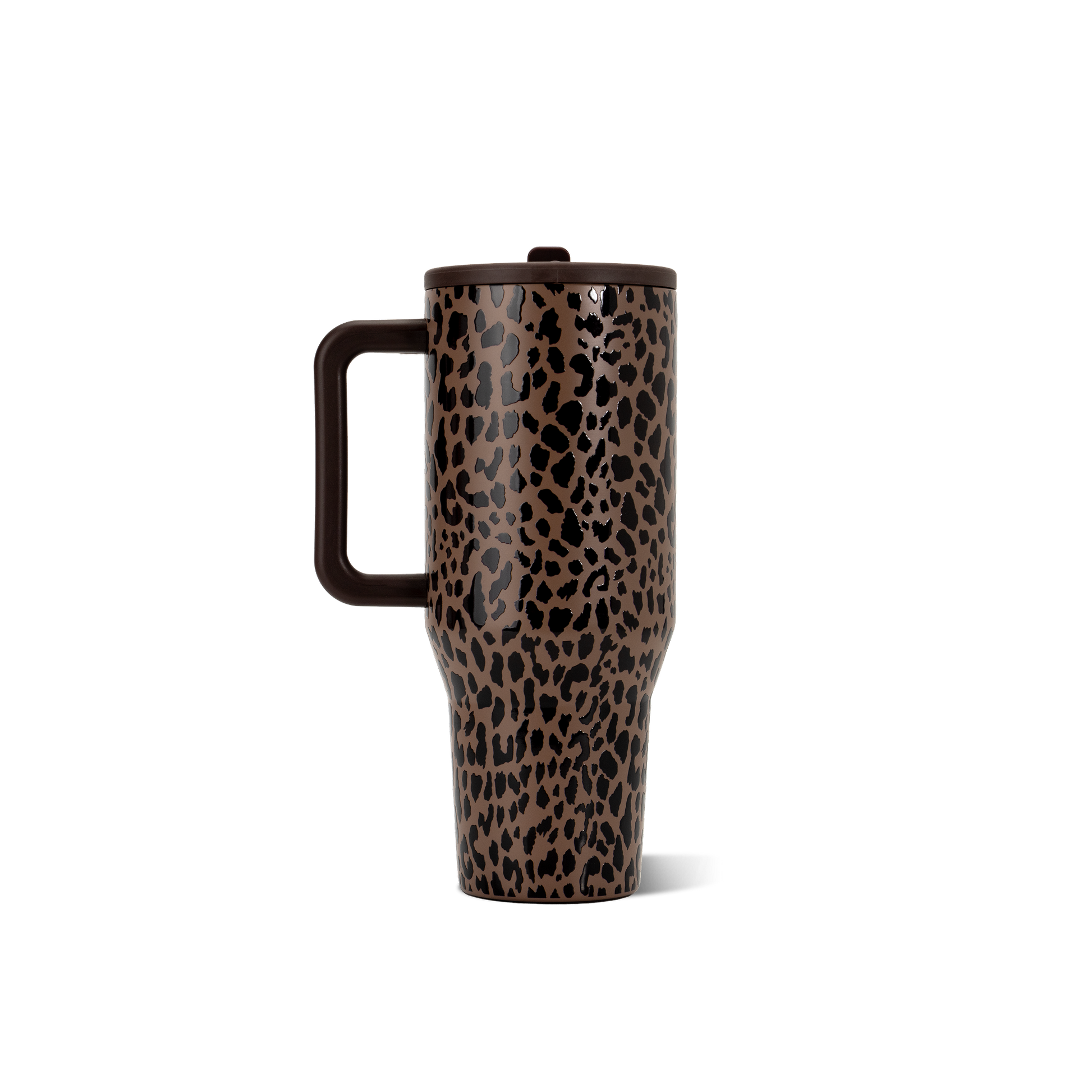 brown-leopard-p3 TRVL32-BrownLeopard-5-WPI.png
